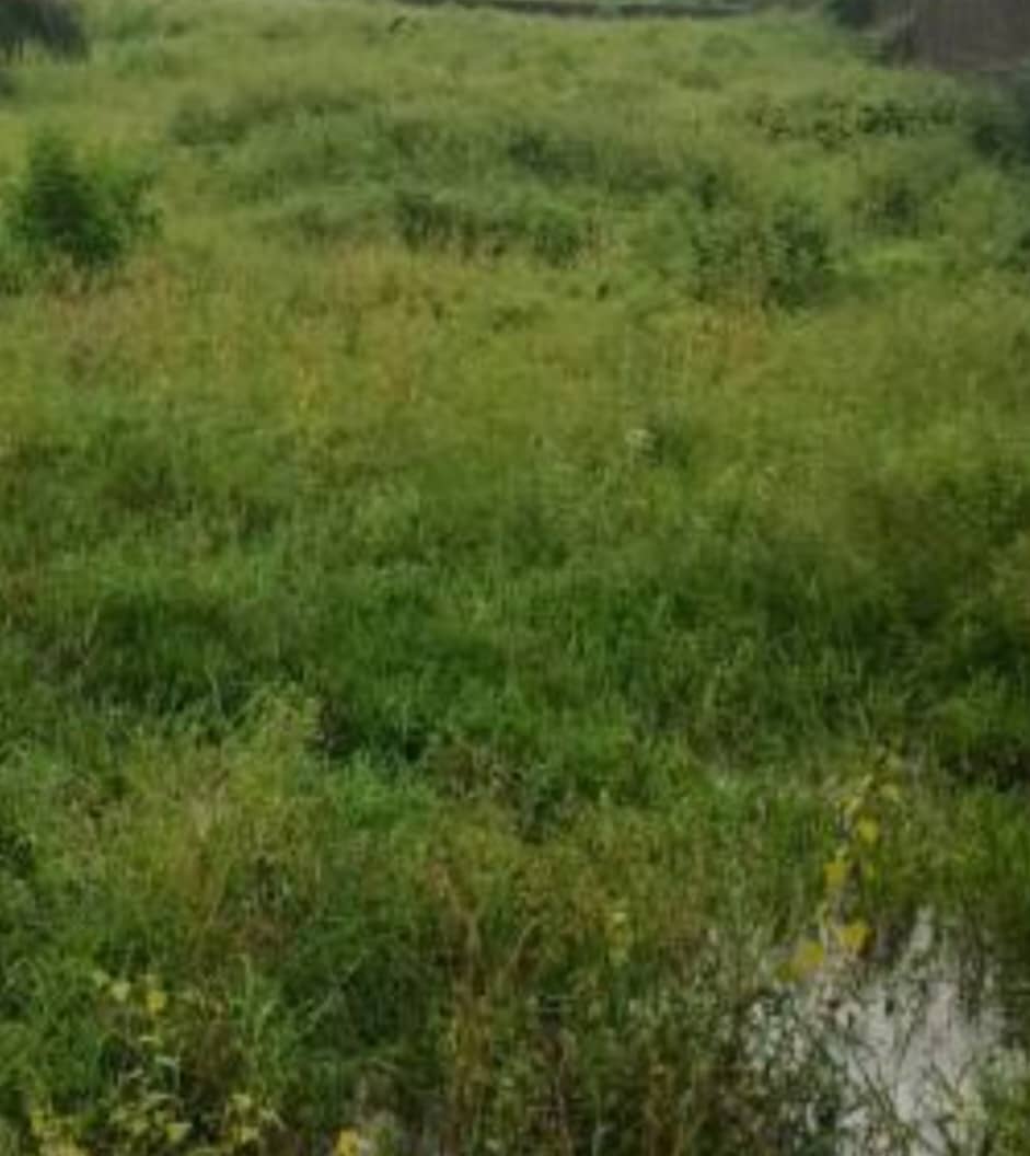 1300sqm Residential Land for Sale in Mabushi 